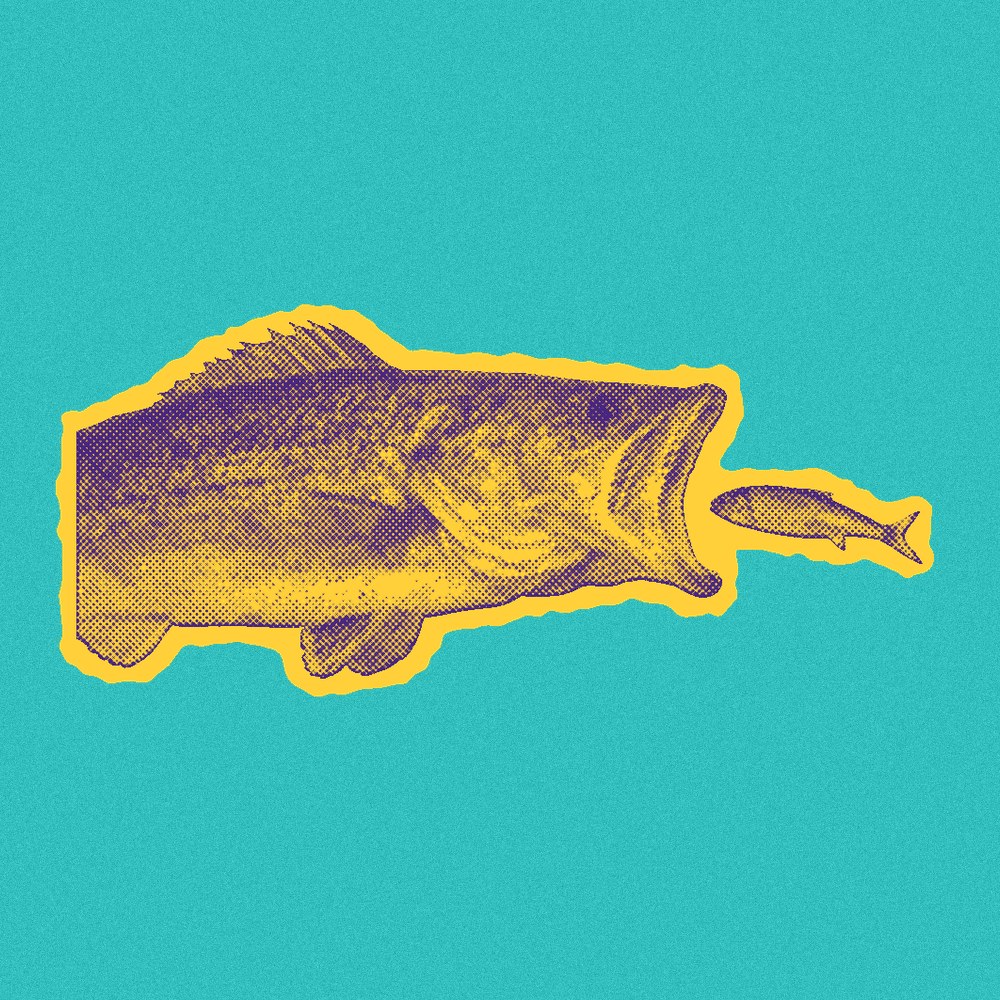 Newsprint cut-out of a big fish swallowing a small fish.